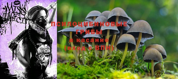 мескалин Балахна