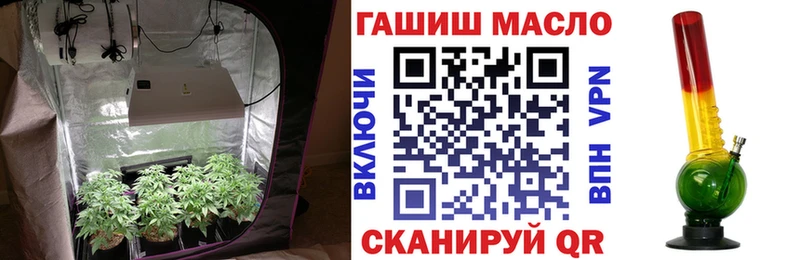 как найти   Кулебаки  ТГК THC oil 